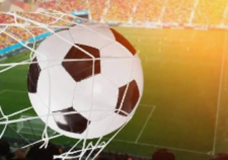 细查栏目内容